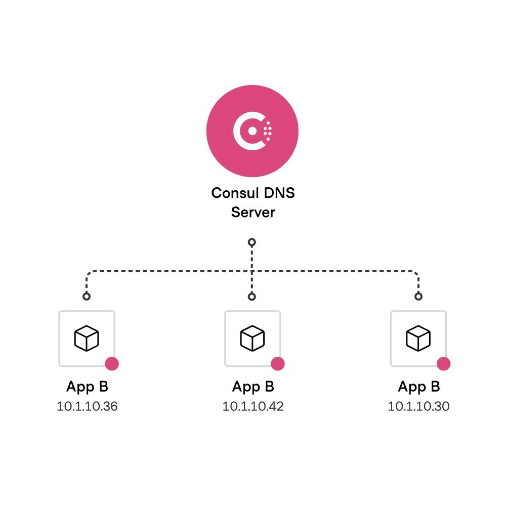 Use DNS or an HTTP API to discover registered services and their locations with Consul.